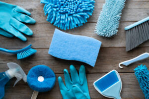 toilet-cleaning-services