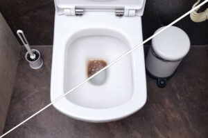 bathroom cleaning