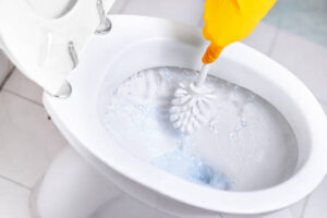 bathroom cleaning karaikudi