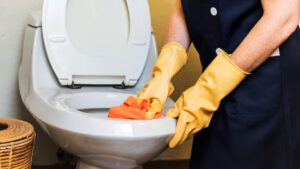 Toilet cleaning service