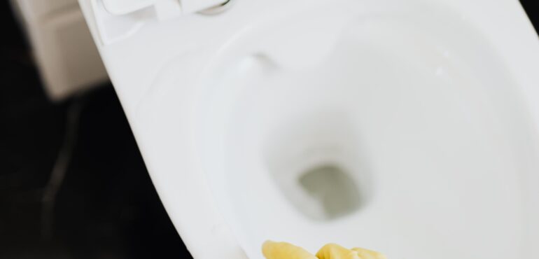 Toilet Cleaning Service Kottaiyur